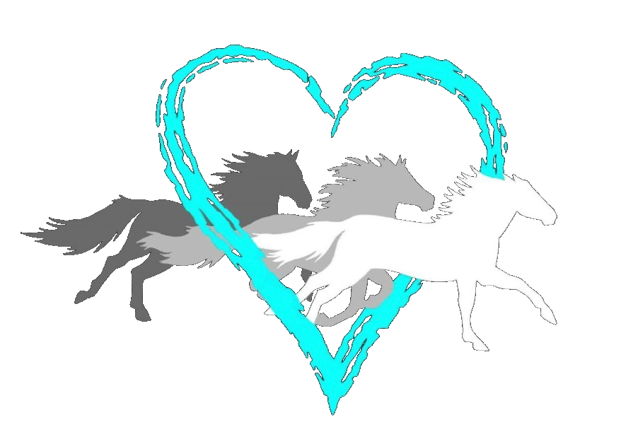 the wild at heart trainer the wild at heart trainer