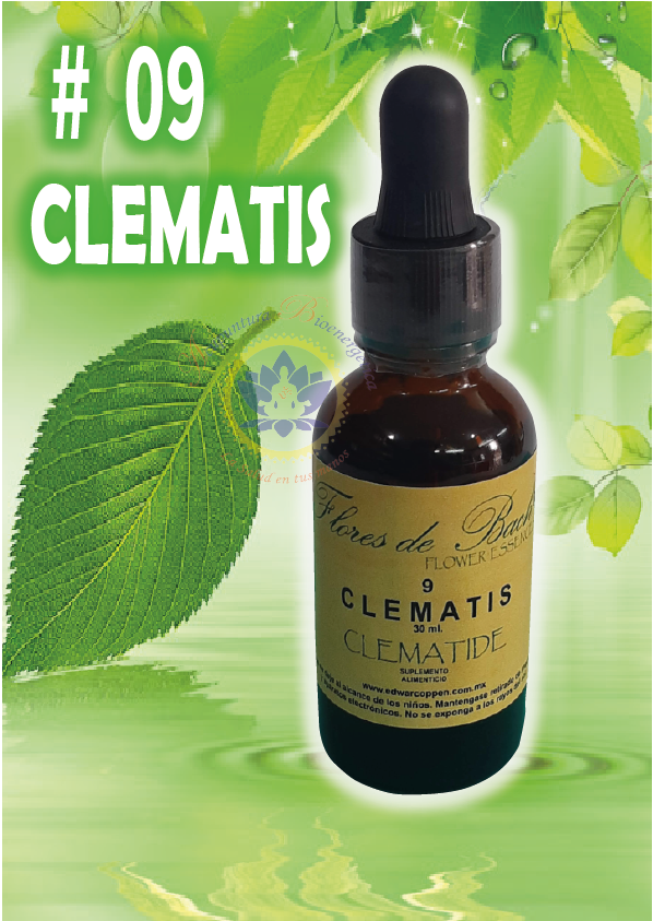 CLEMATIS ( clematide) N# 9  20ml