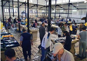 Marché aux poissons-déambulationseuropéennes
