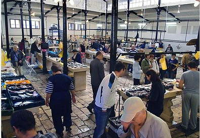 Marché aux poissons-déambulationseuropéennes