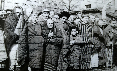 Libération d'Auschwitz-déambulations européennes