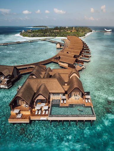 Pure Voyage Luxusreisen