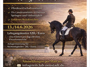 Dressurlehrgang mit Rüdiger Nixdorf