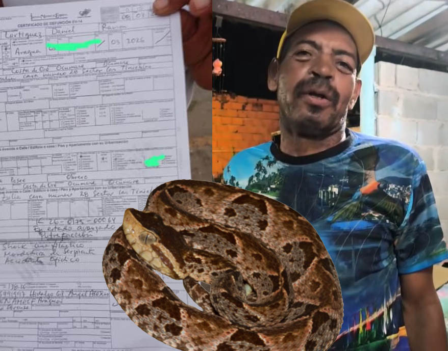 muerto-en-ocumare-por-mordedura-de-serpiente