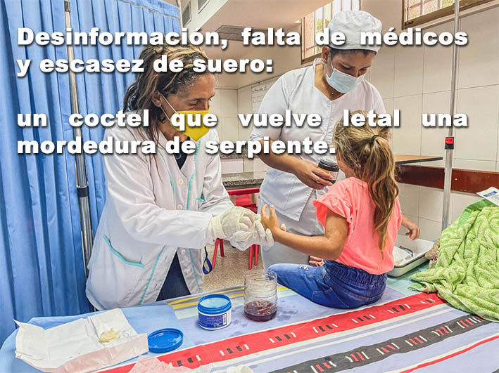 Dos médicas atienden a una niña mordida por serpiente en un hospital; hay texto sobre falta de médicos y suero antiofídico. Ambiente clínico, colores claros y azul.