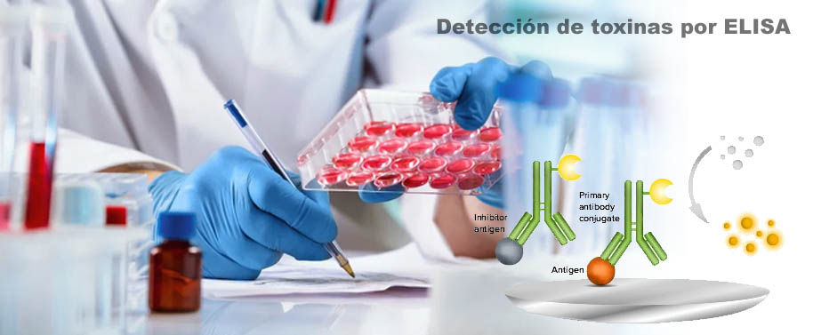 deteccon-de-toxinas-por-elisa
