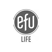 EFU Life Assurance Logo (PESGPS).png