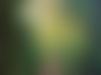 Intento Numero '404'