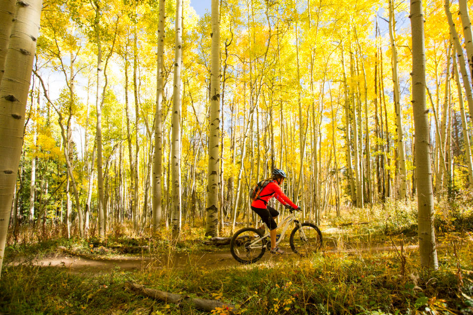 Fall-Mountain-Biking-960x640.jpg