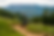 Screenshot 2026-06-29 at 11.23.44 AM.png