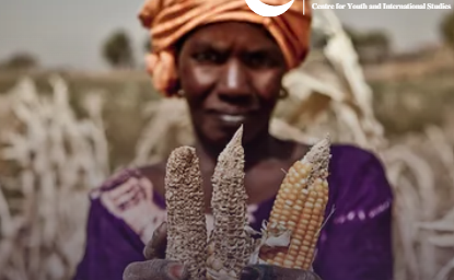 The Sahel: Food Insecurity and the Role of Youth