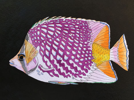 Purple and White Fish