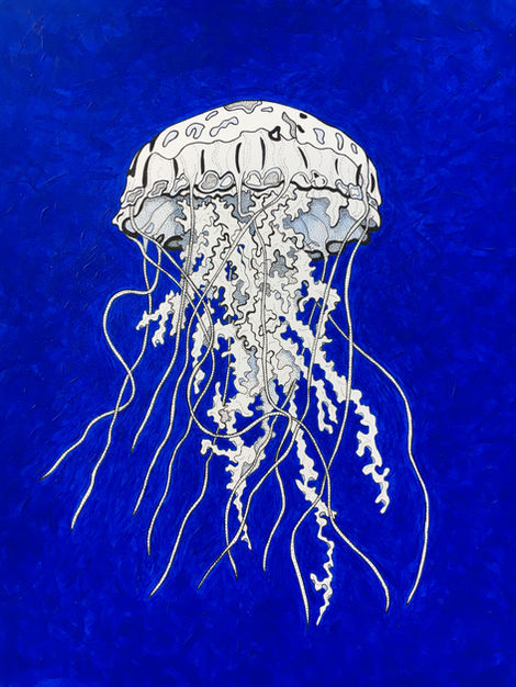 Blue Jellyfish