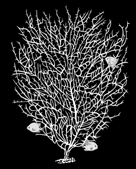 White Fish with Coral