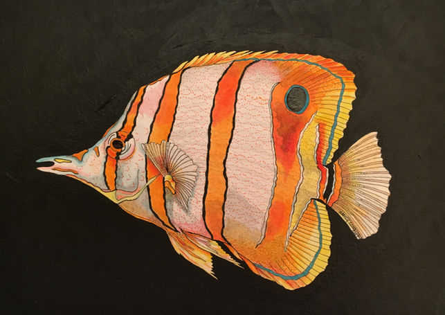 Fish