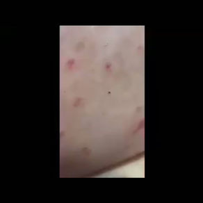 “Shelley… This Is Unbelievable.”