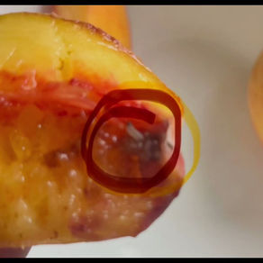 You Found WHAT in Your Peach?! 🍑🪱