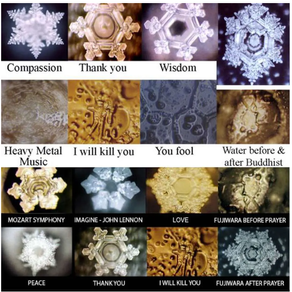 This Is What Words Do to Water