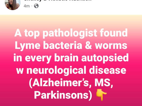 Parasites & Lyme found in brains of Alzheimer's & MS patients