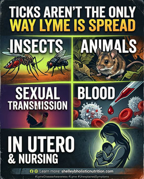 You Don’t Need a Tick Bite to Have Lyme 👀