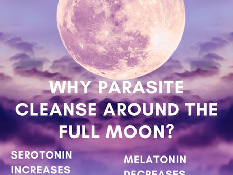 Why Parasite Cleanse Around the Full Moon?