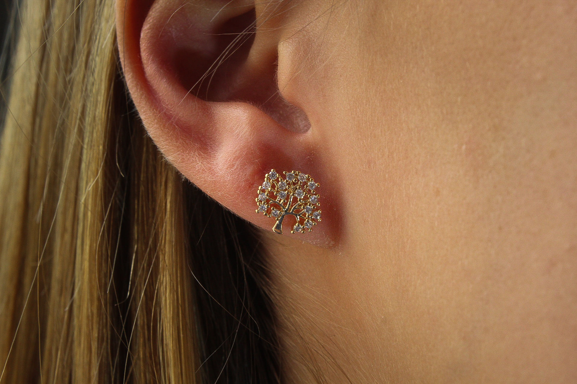 Brinco Arvore da Vida