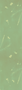 Home_background.png