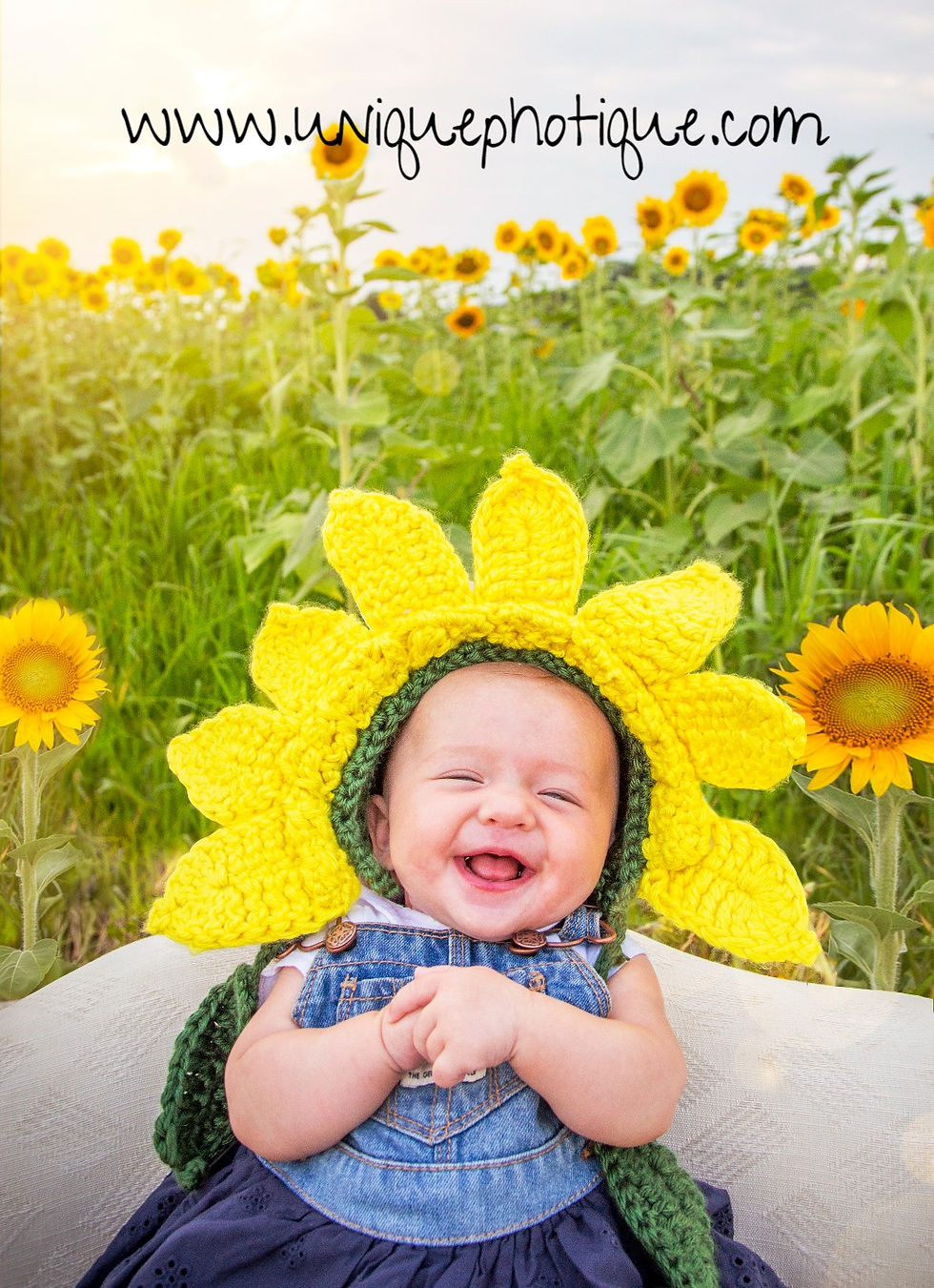Sunflower_4edit_edited