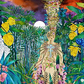 Collage de Travis Bedel