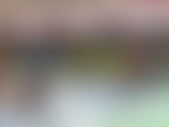 Club de voleibol SAVANNA Cota - Torneo Guasca Cup 2025