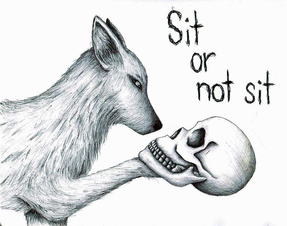Sit or not sit