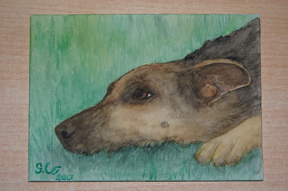 Dog