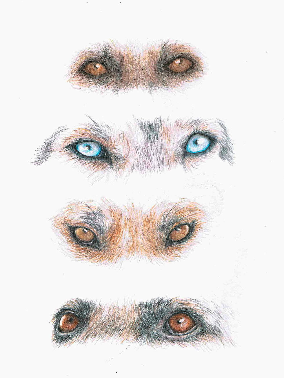Ojos Grandes