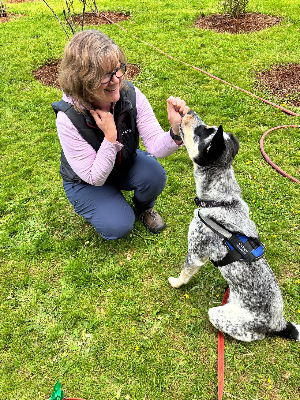 Jill Kudera
CPDT-KA Certified Professional Dog Trainer, Kistap County
