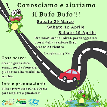 Rospi (Post di Instagram).png