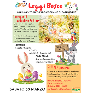 LEggi Bosco Volantino (Post Instagram (Quadrato)) (2).png