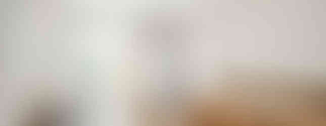 Beispiel Apartment Focus Homes Heidelberg