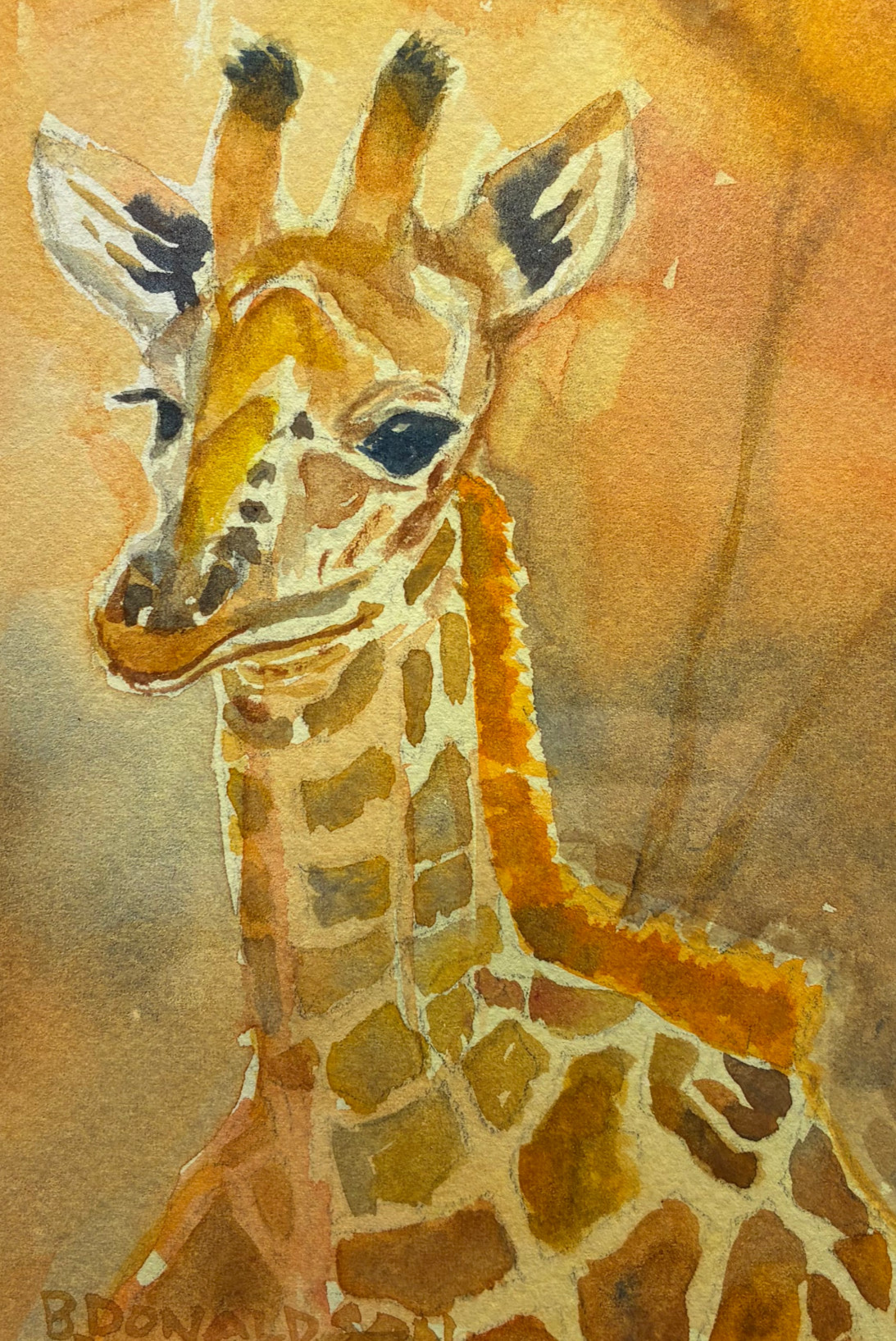 Gerry the Giraffe