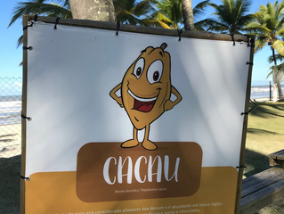 Terra do Cacau e Chocolate!