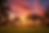 Gemini_Generated_Image_vqlpsbvqlpsbvqlp.png