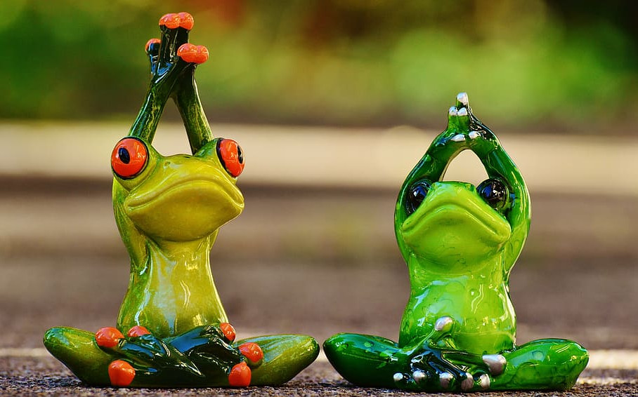 Frogs that children find interesting in easy pose prayer hands variation (Sukhasana Anjali Mudra Variation)