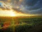 Farmscape