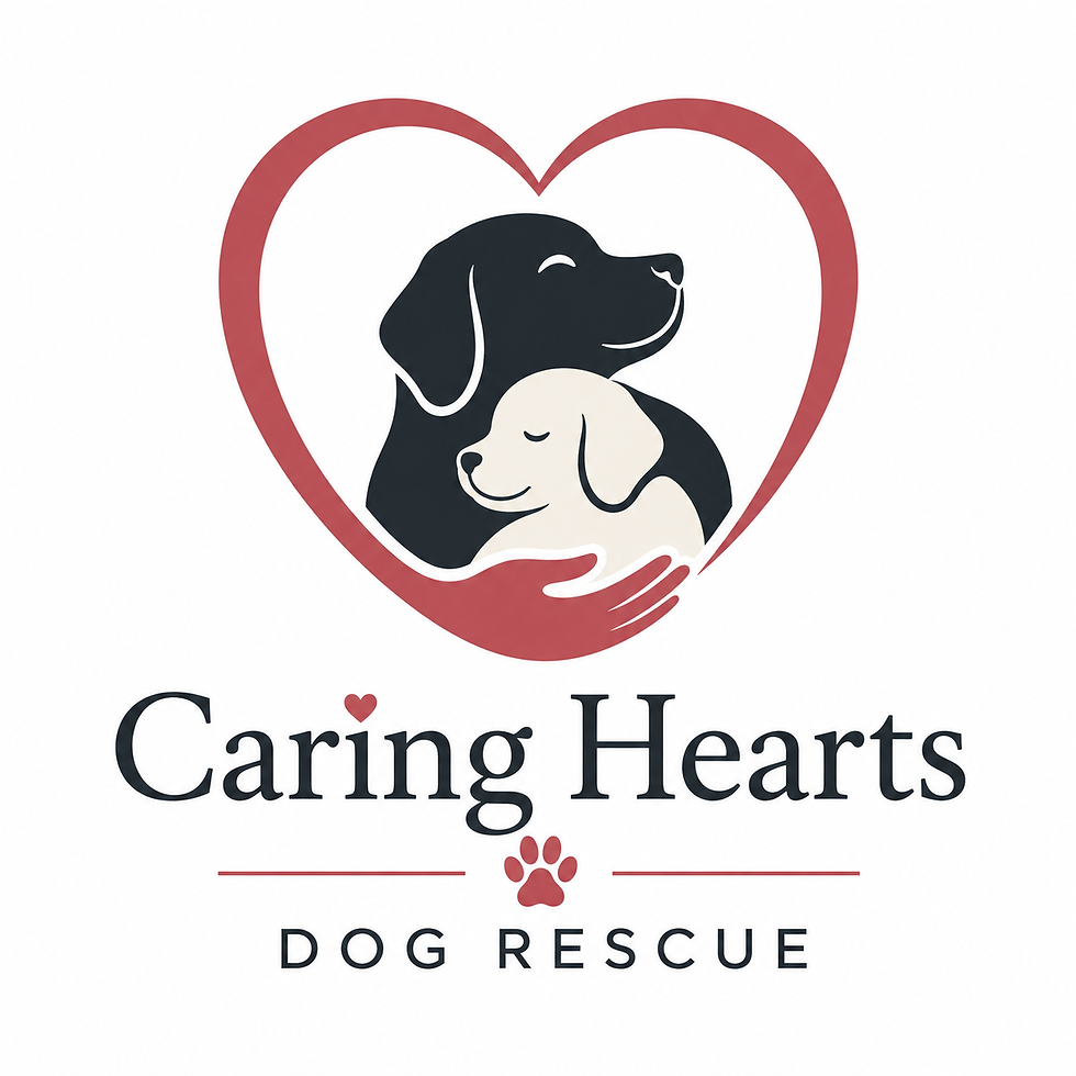 Caring Hearts Logo.png