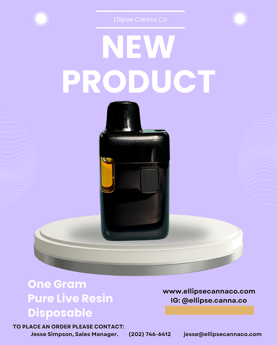 Disposable Flier.png