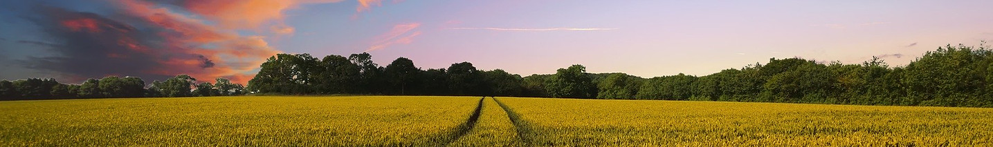 countryside-2326787_1920 (1).jpg