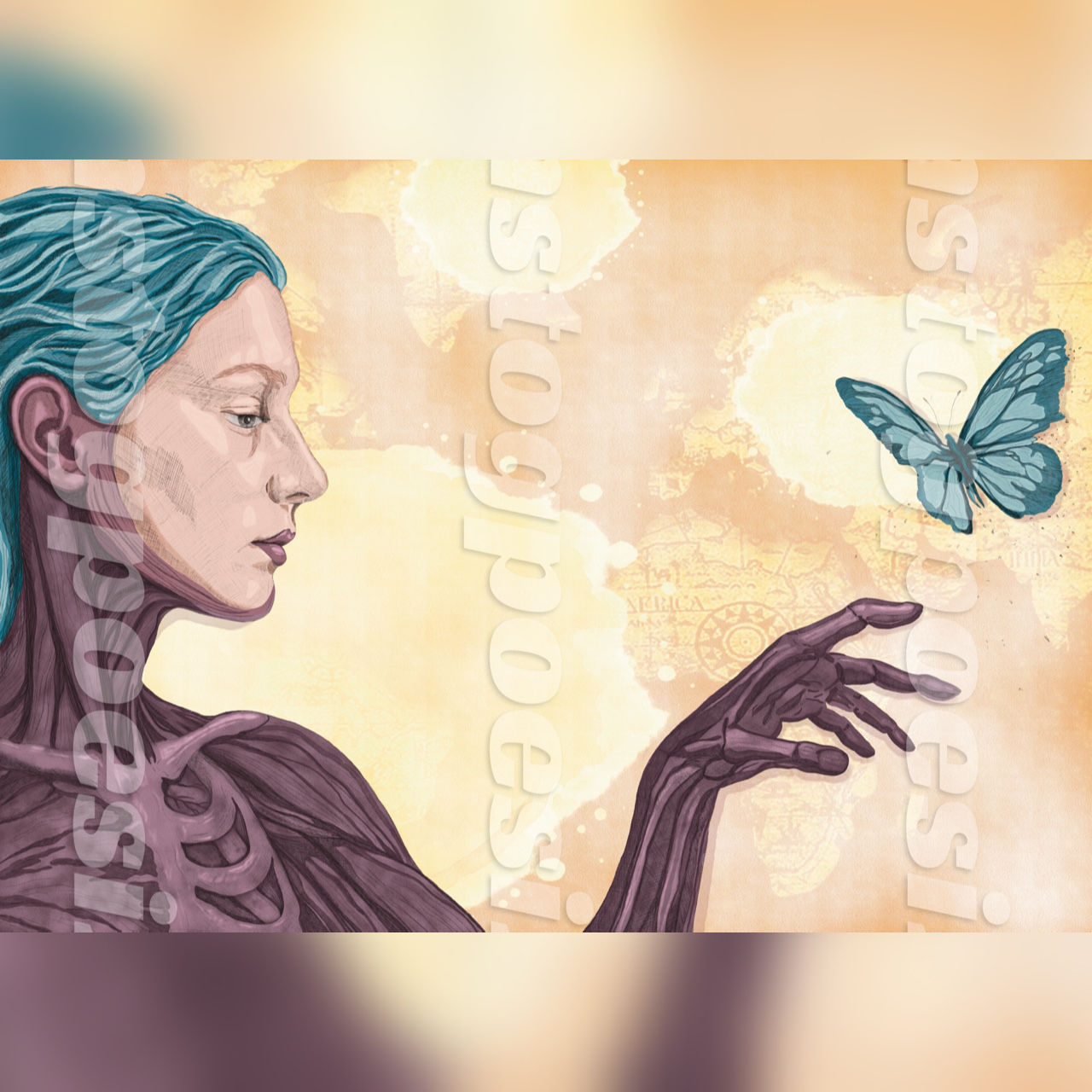 Anatomy of butterflies