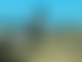 에어뉴질랜드 승무원…중국에서 Covid-19 양성판정