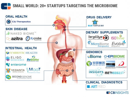 마이크로바이옴-"인간의 두번째 게놈", "제2의 장기"