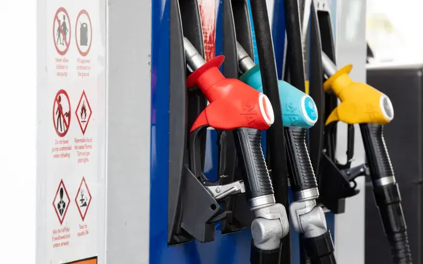 Fuel prices make up about 4 percent of the consumer price index. Source: RNZ