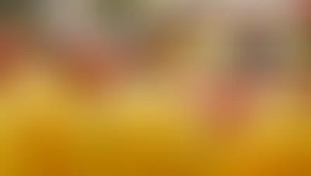 고기·채소값 폭등에 ‘장보기 공포’